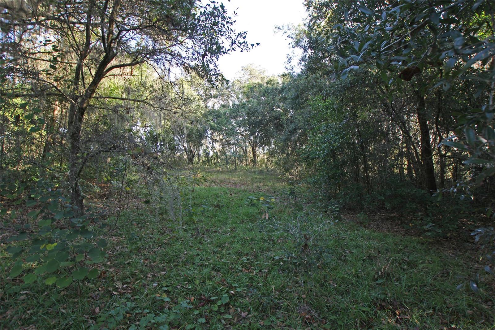0 Patricia Dr Property Photo 14