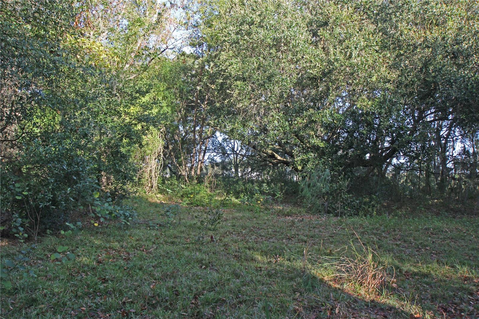 0 Patricia Dr Property Photo 15