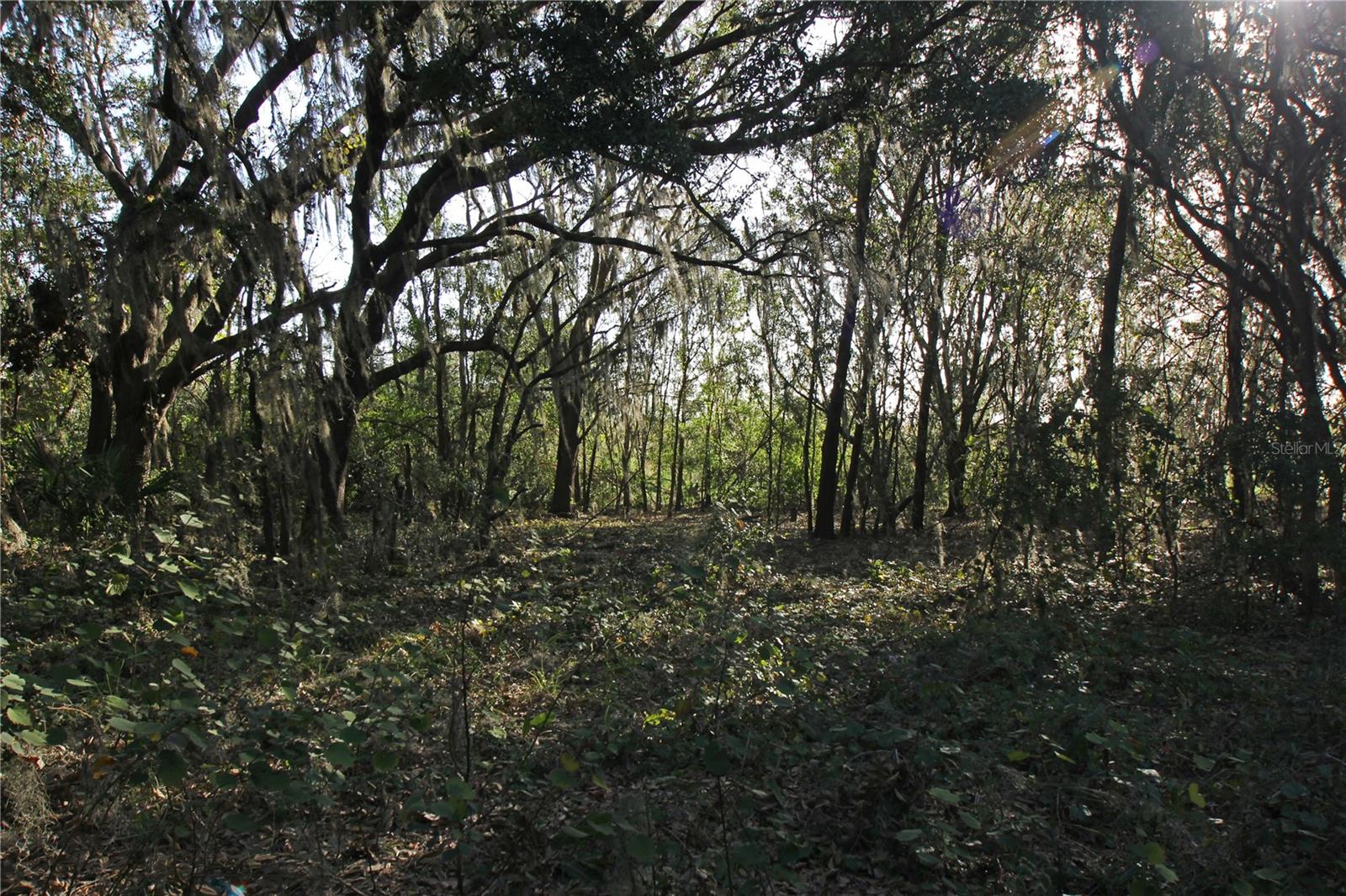 0 Patricia Dr Property Photo 16
