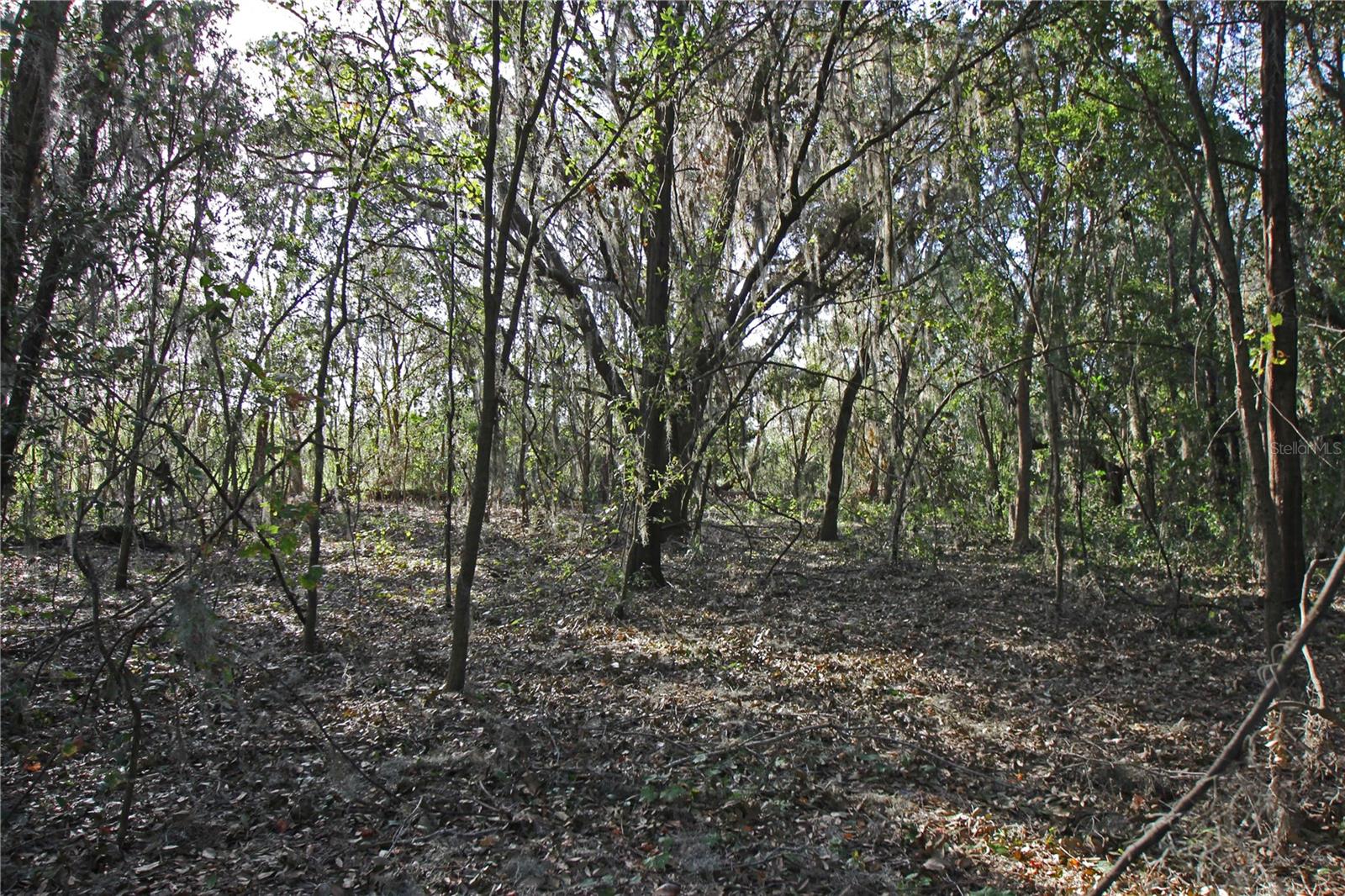 0 Patricia Dr Property Photo 18