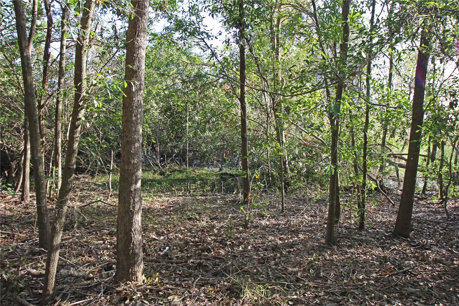 0 Patricia Dr Property Photo 19