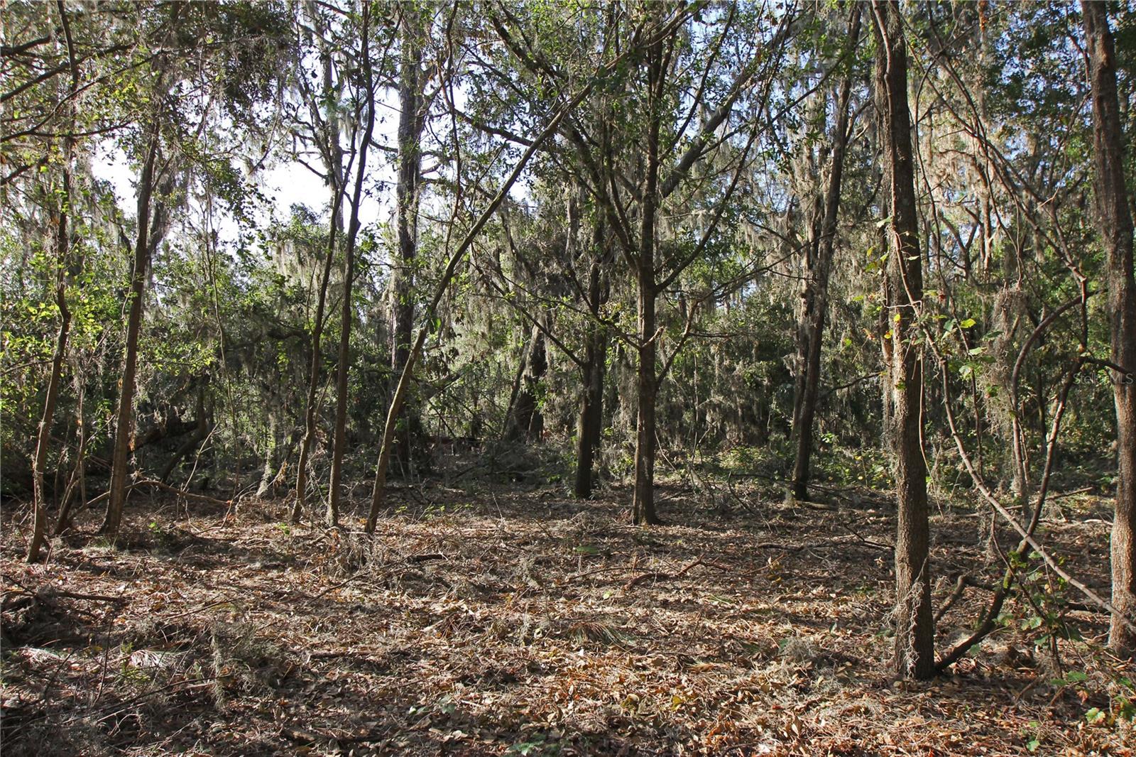 0 Patricia Dr Property Photo 21