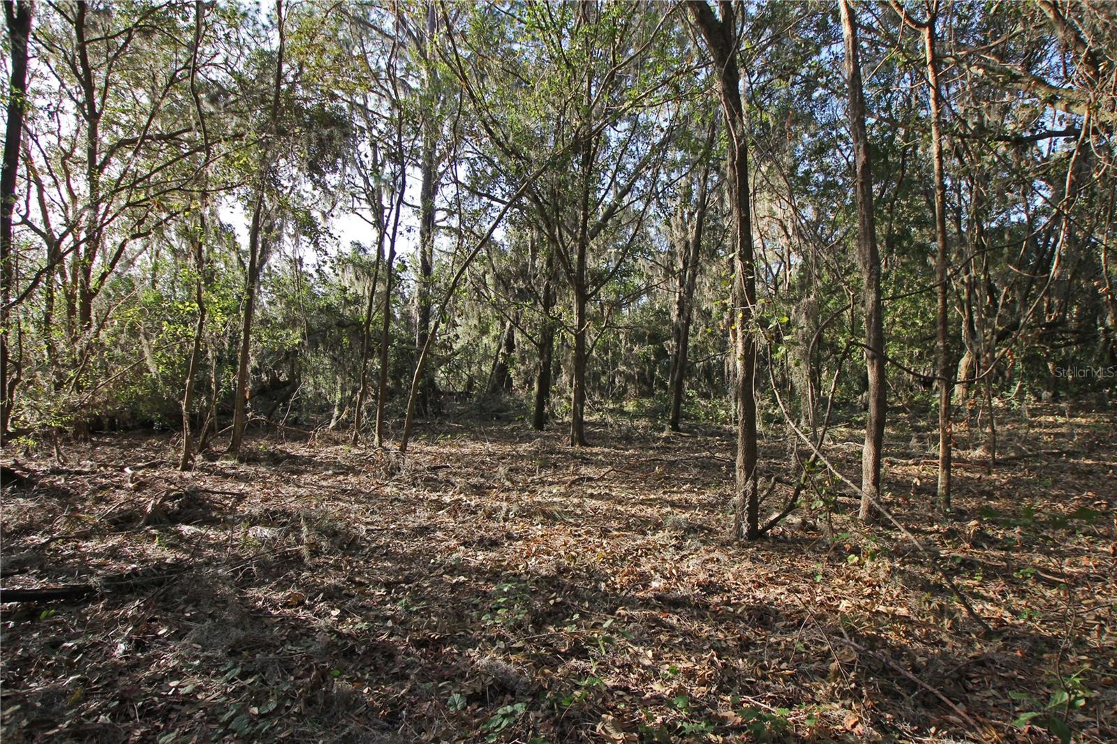0 Patricia Dr Property Photo 22