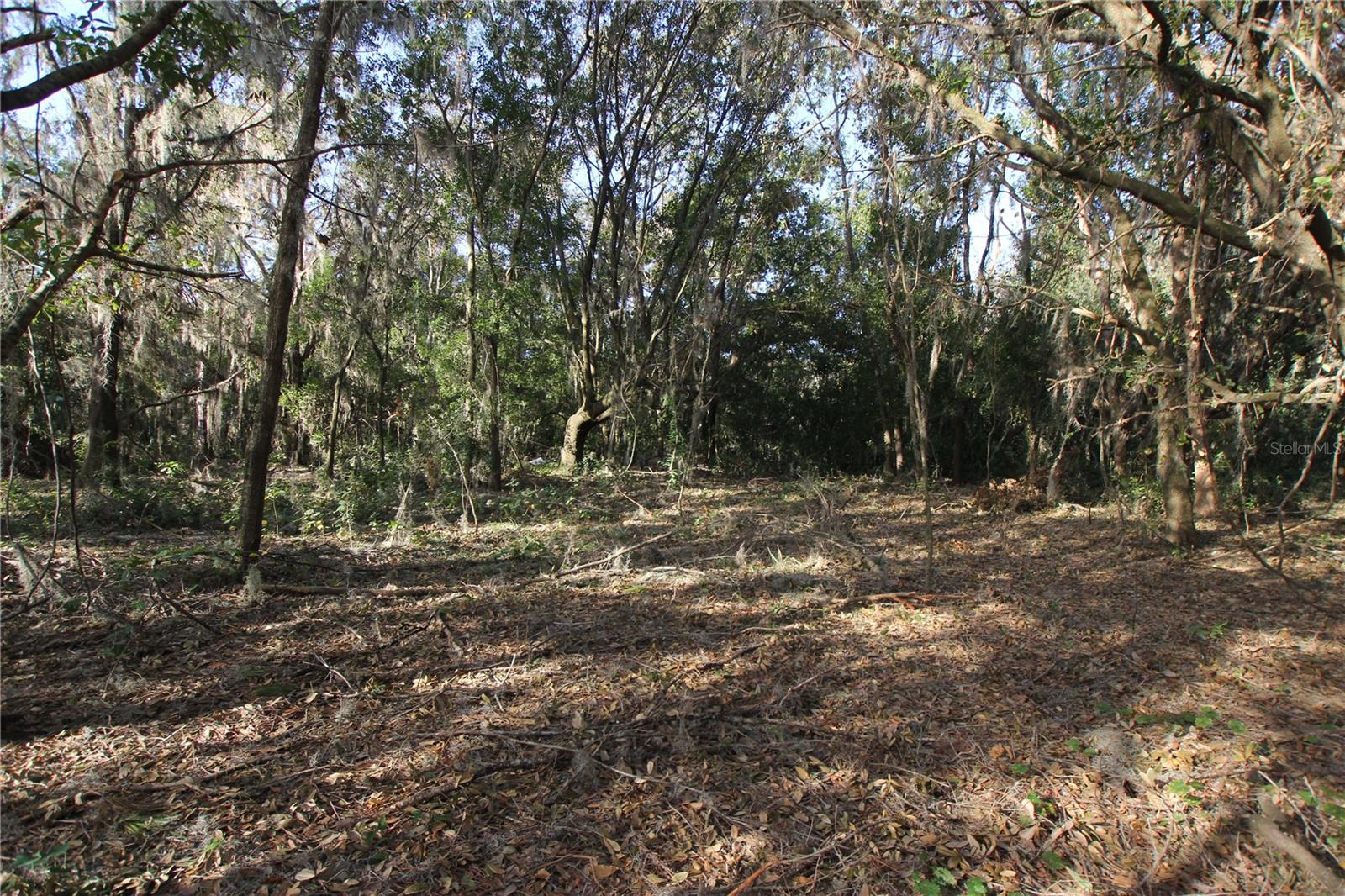 0 Patricia Dr Property Photo 24