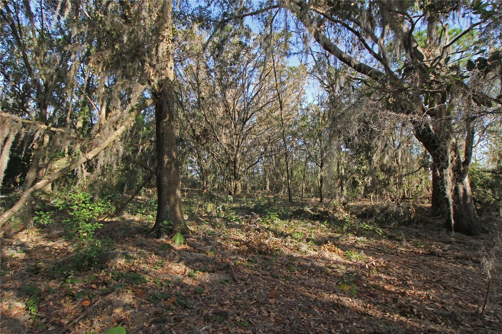 0 Patricia Dr Property Photo 25