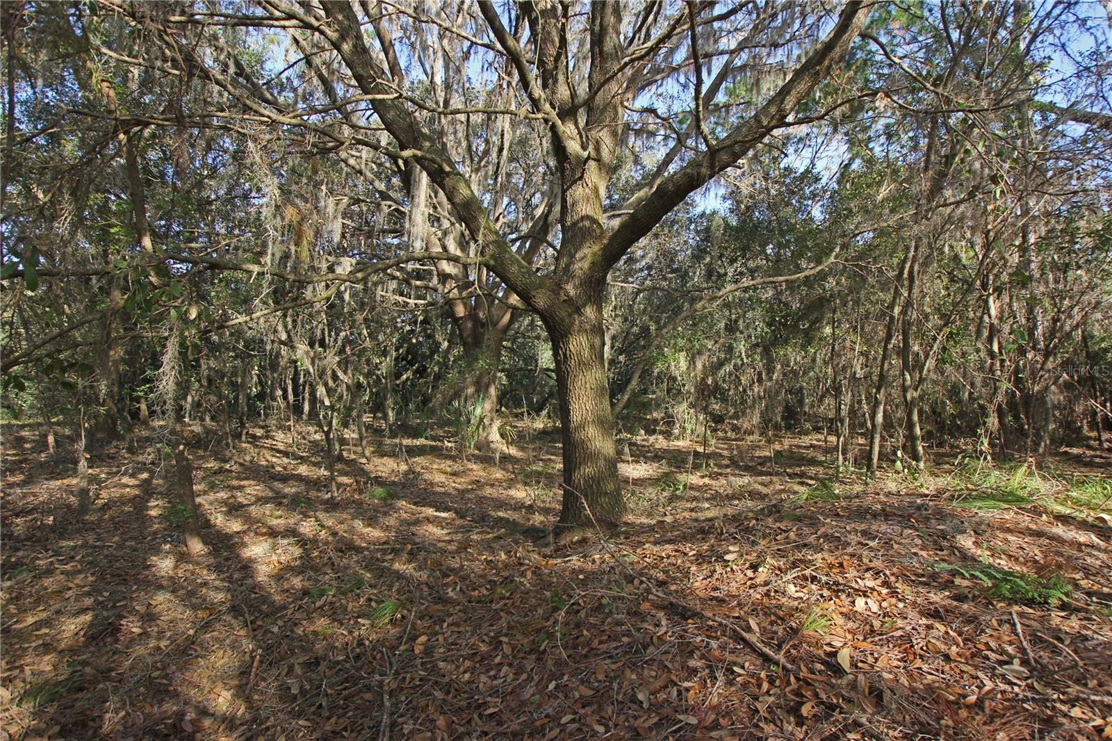 0 Patricia Dr Property Photo 27
