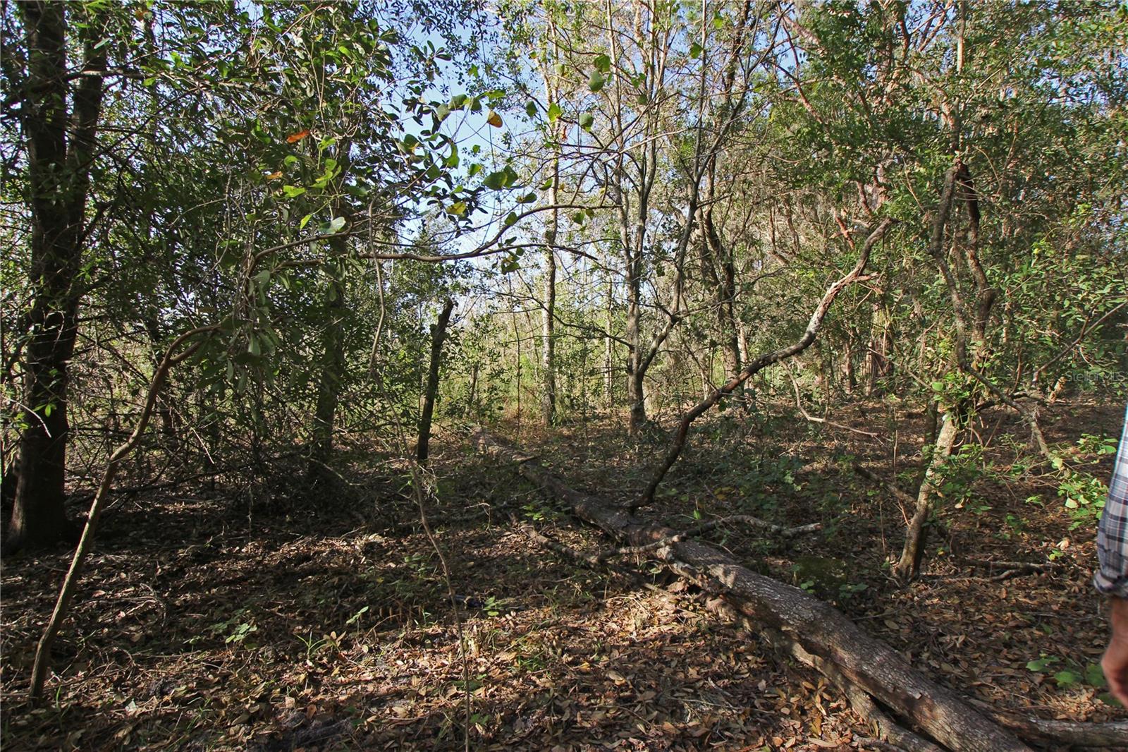 0 Patricia Dr Property Photo 28