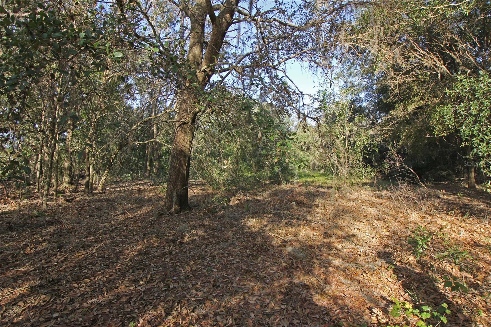0 Patricia Dr Property Photo 29
