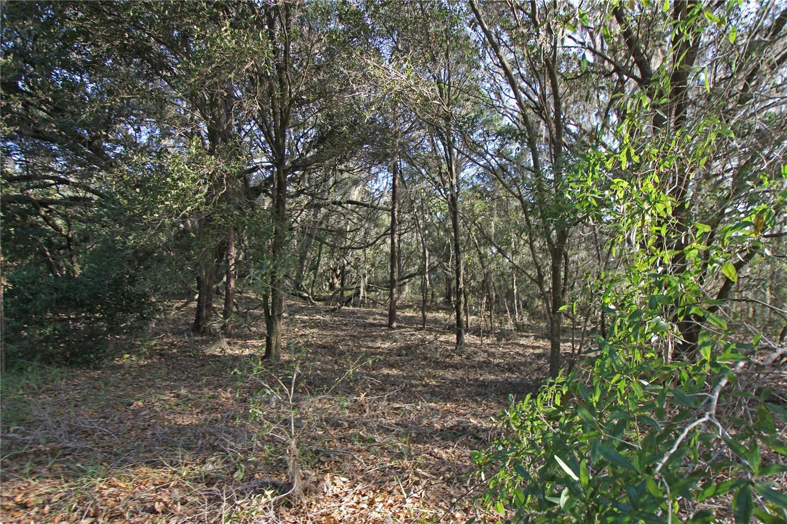 0 Patricia Dr Property Photo 30