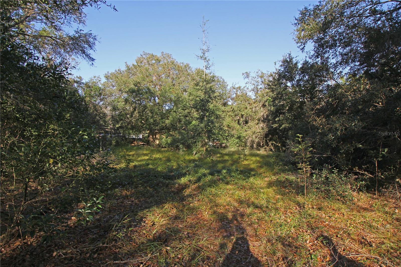 0 Patricia Dr Property Photo 31