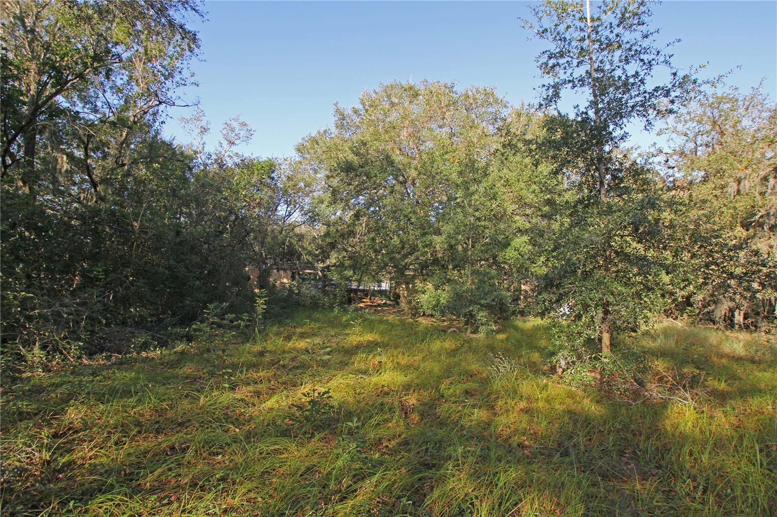 0 Patricia Dr Property Photo 32