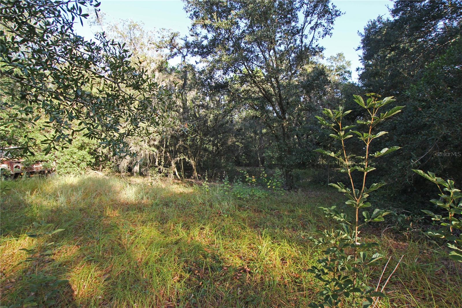 0 Patricia Dr Property Photo 33