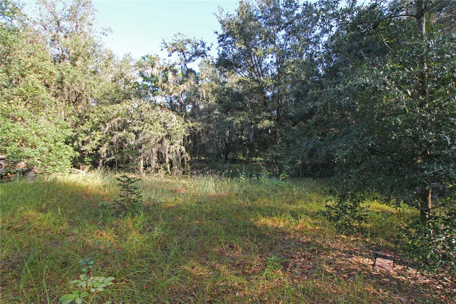 0 Patricia Dr Property Photo 34