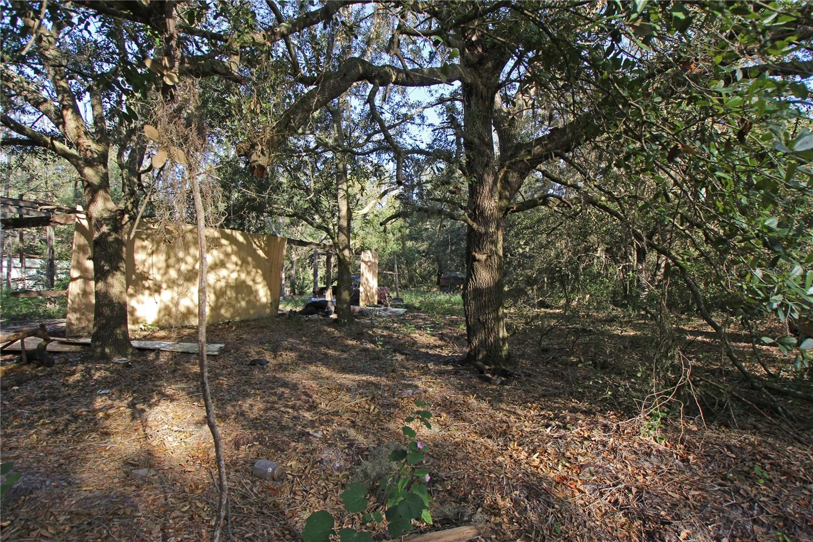 0 Patricia Dr Property Photo 35