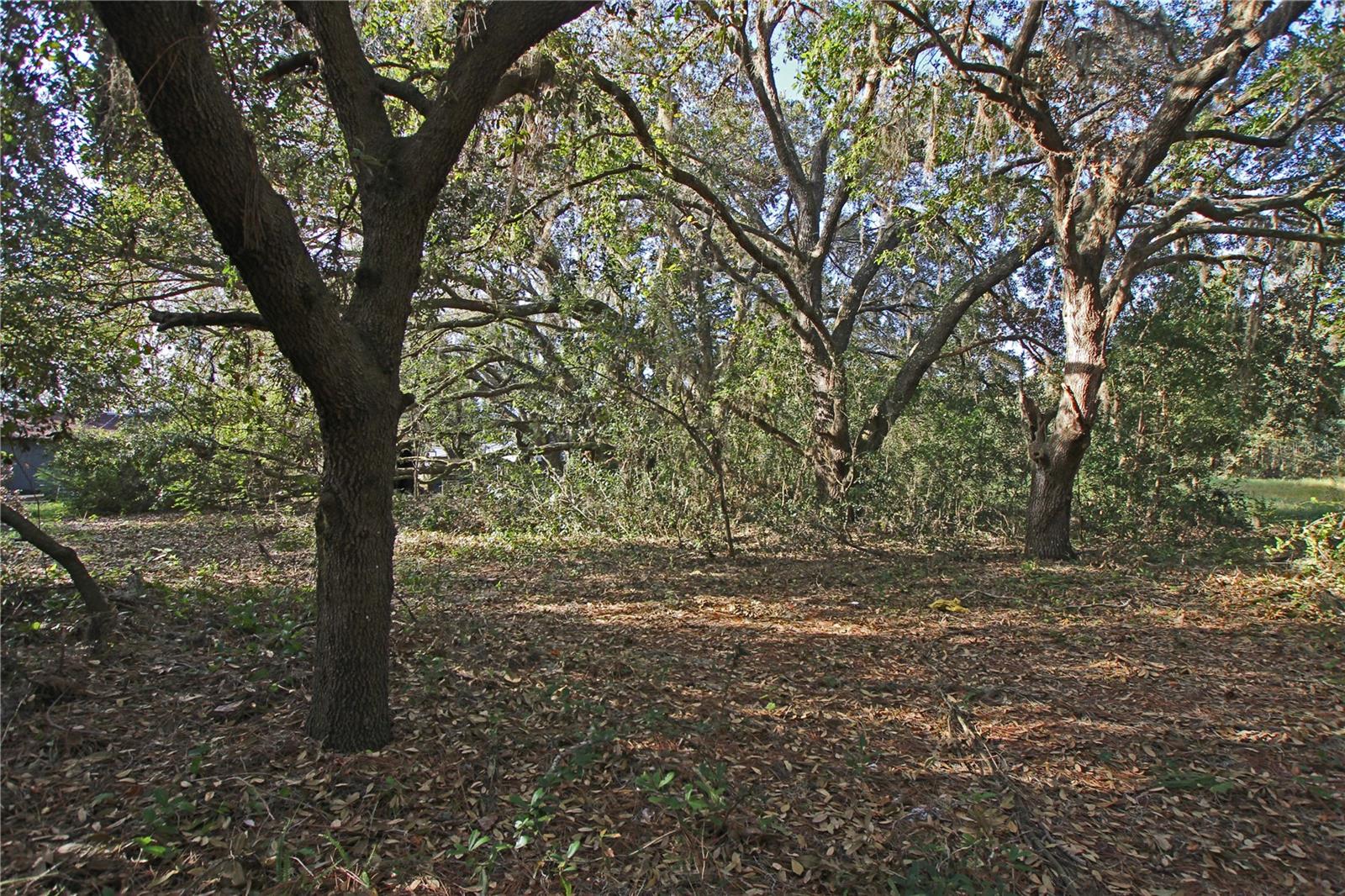 0 Patricia Dr Property Photo 39