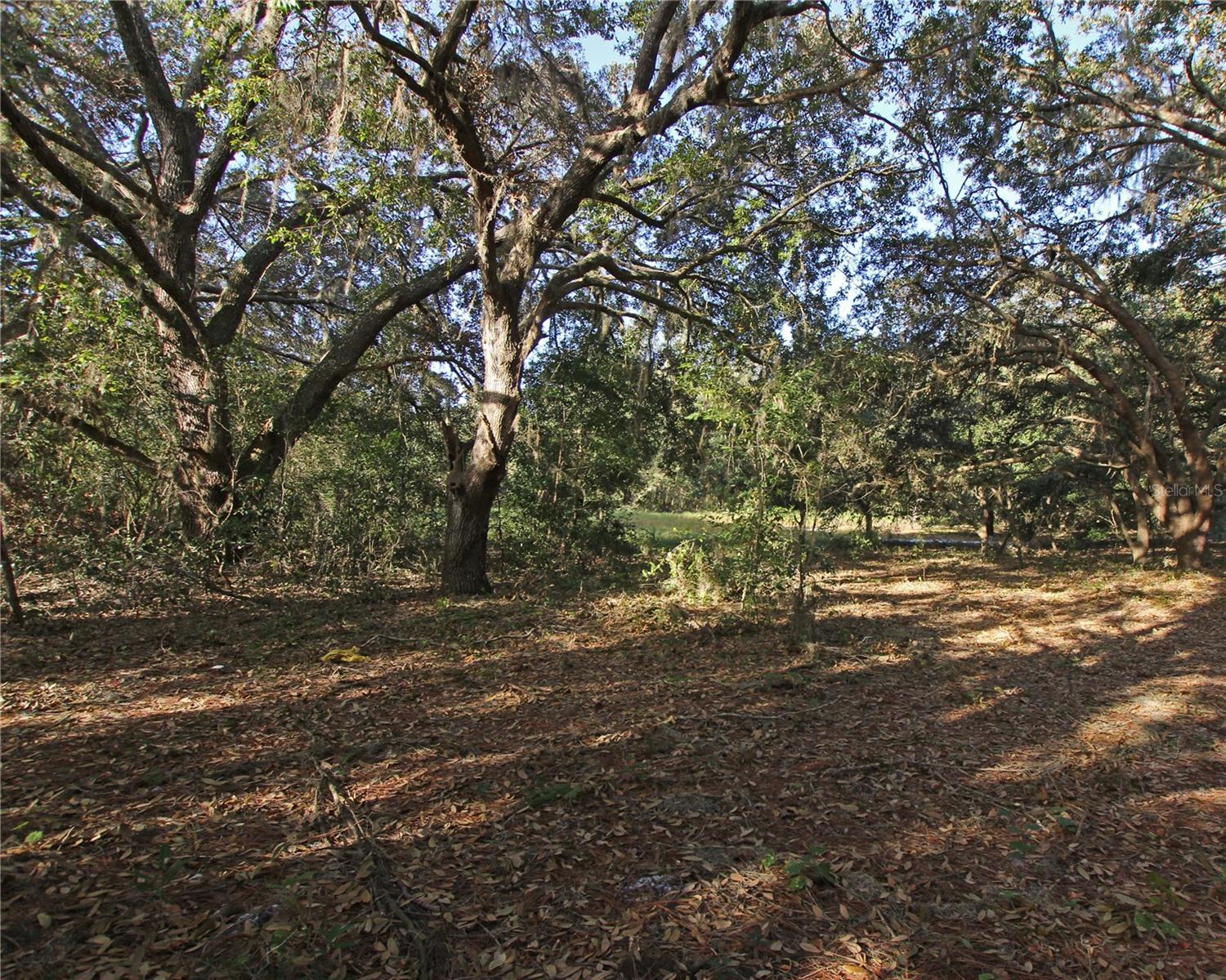 0 Patricia Dr Property Photo 40