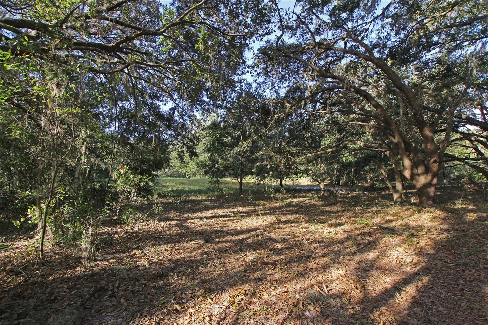 0 Patricia Dr Property Photo 41
