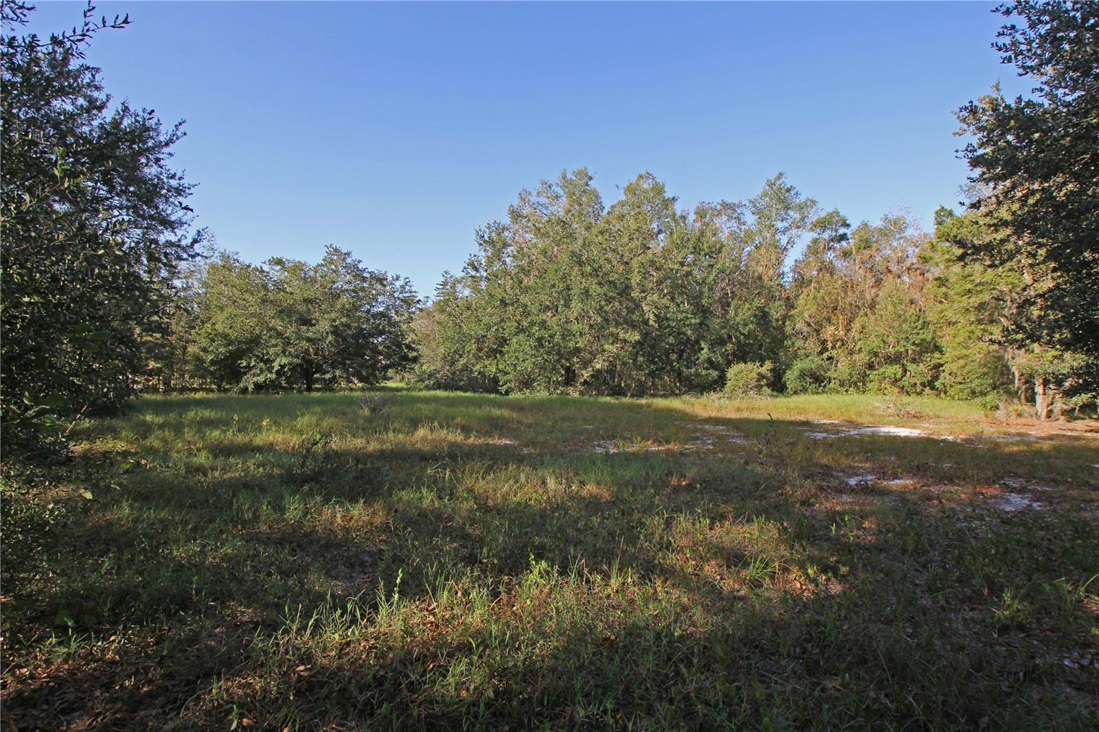 0 Patricia Dr Property Photo 42