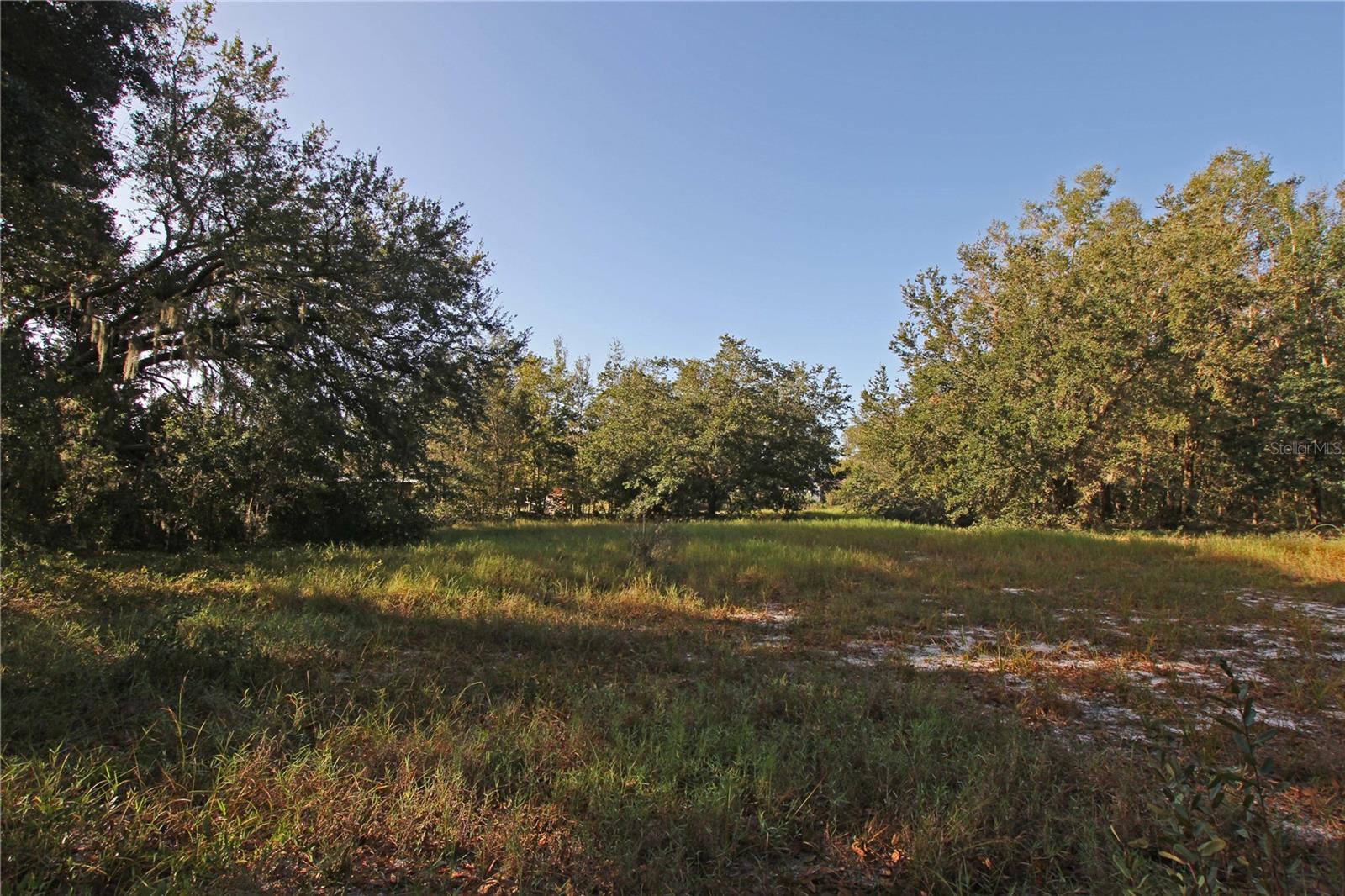 0 Patricia Dr Property Photo 43