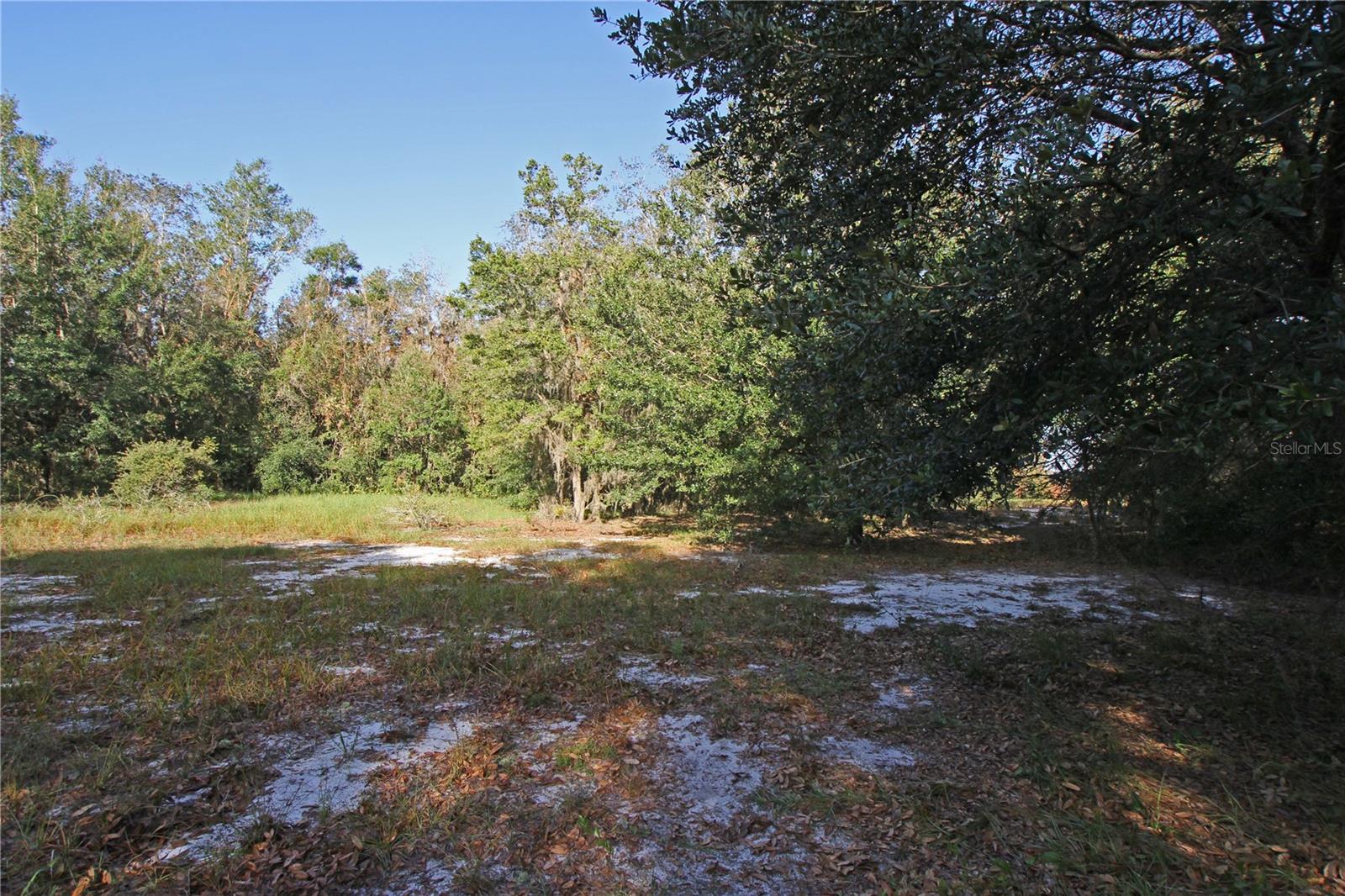 0 Patricia Dr Property Photo 44