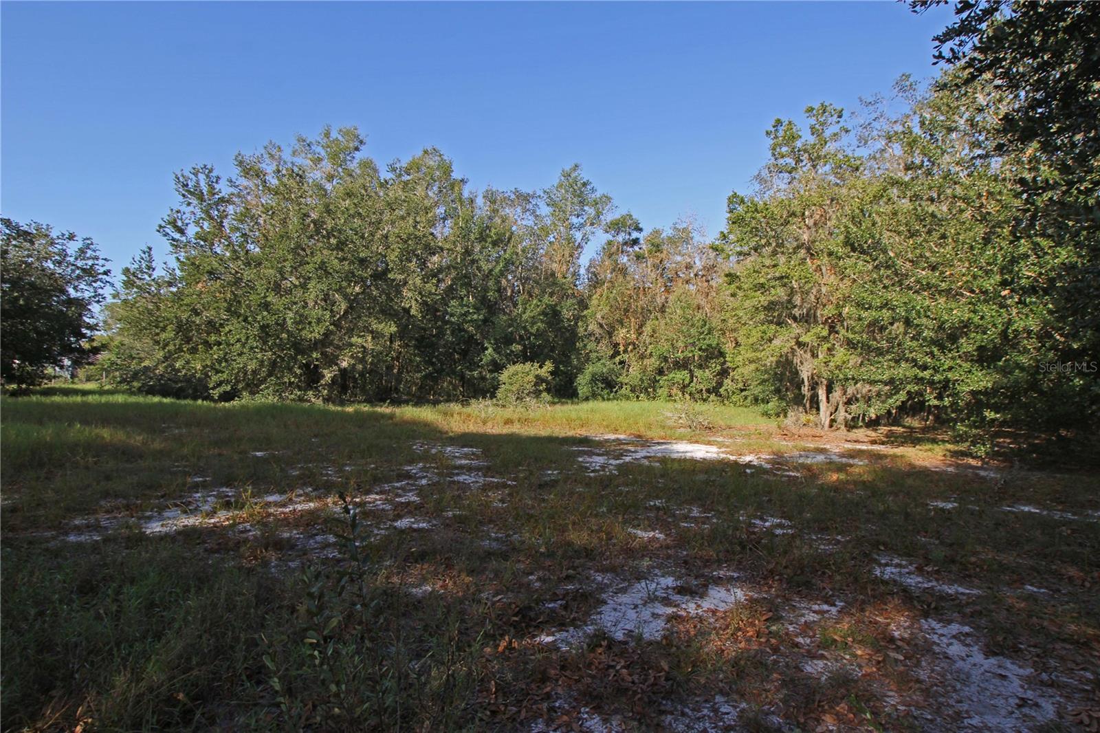 0 Patricia Dr Property Photo 45