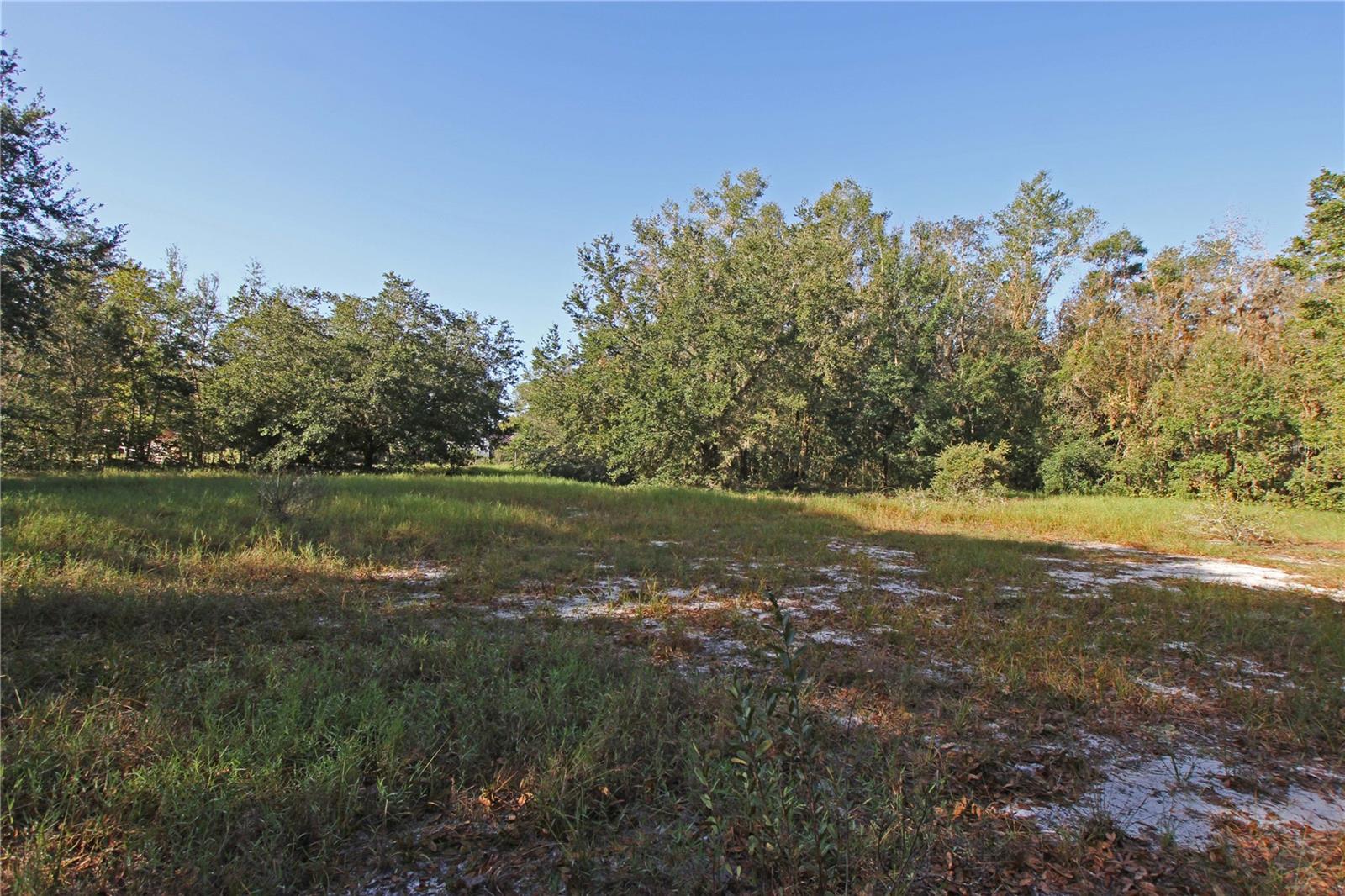 0 Patricia Dr Property Photo 46