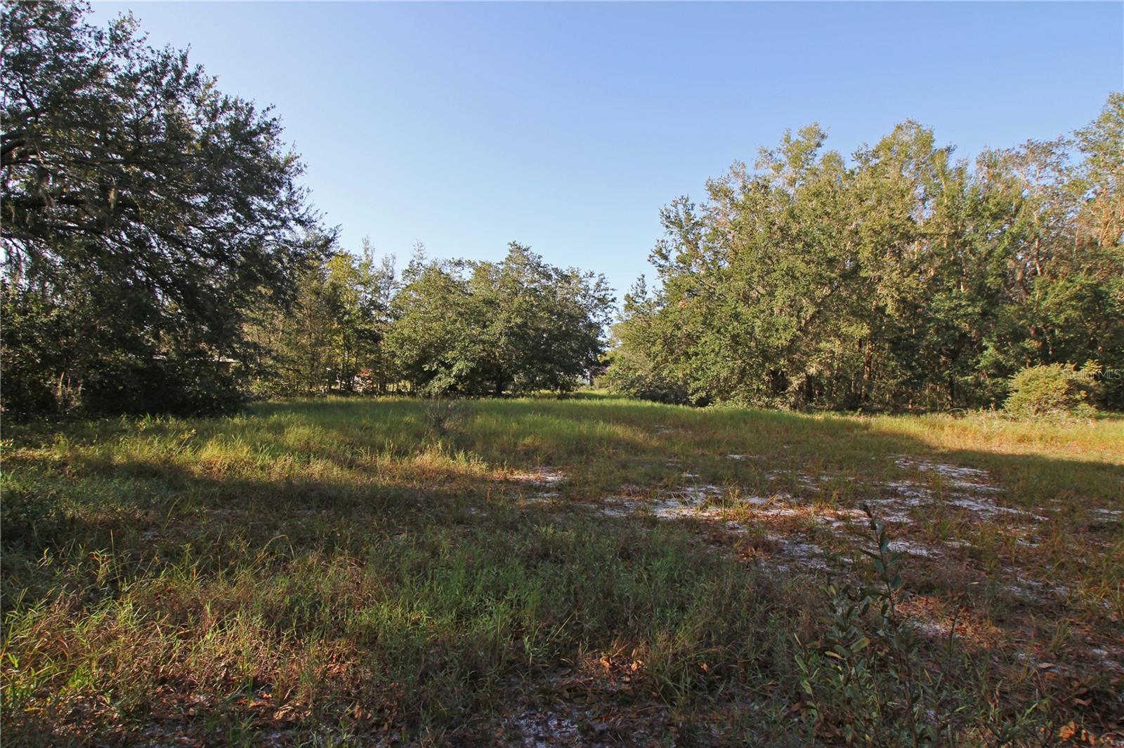 0 Patricia Dr Property Photo 47