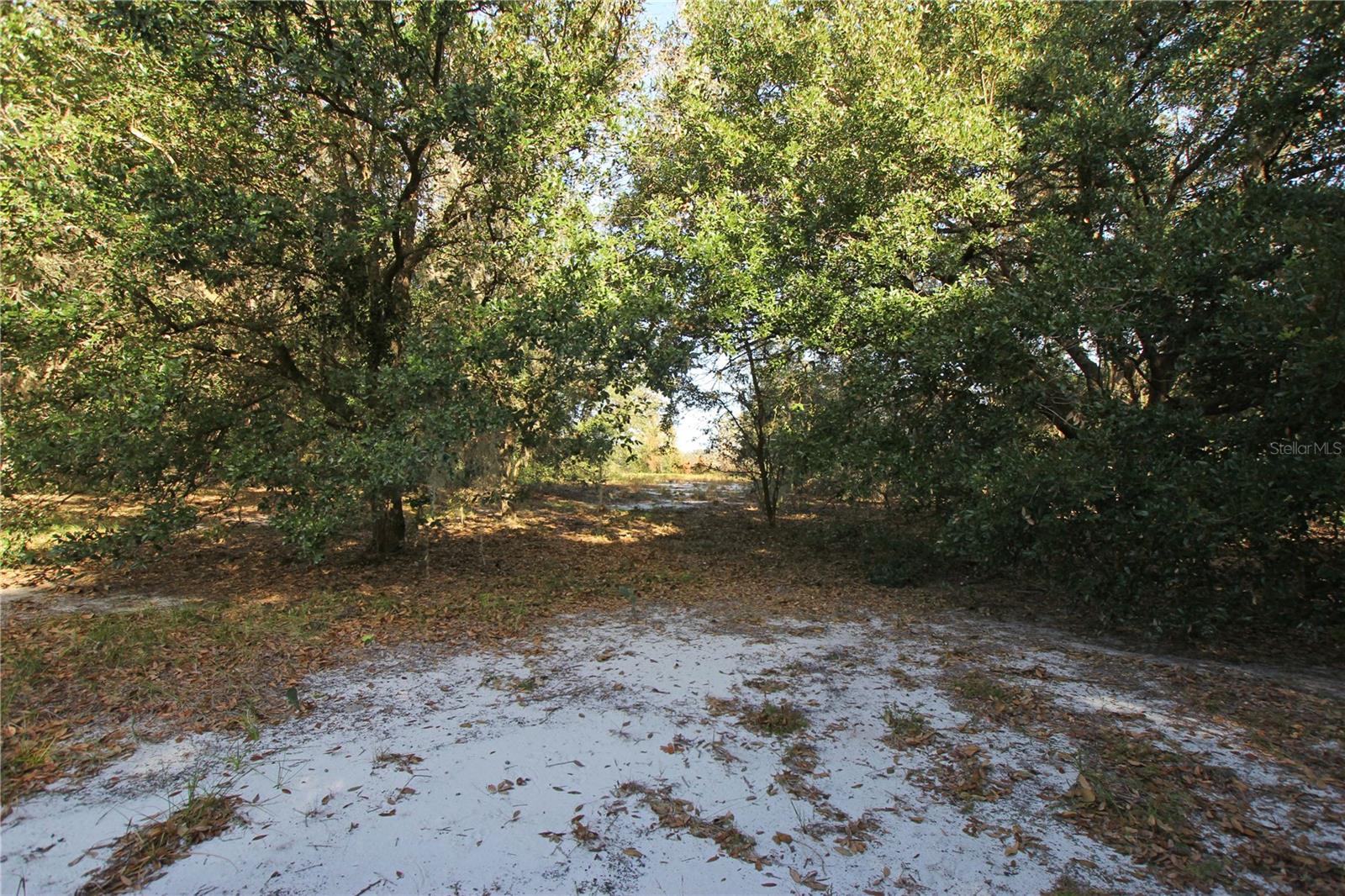 0 Patricia Dr Property Photo 48