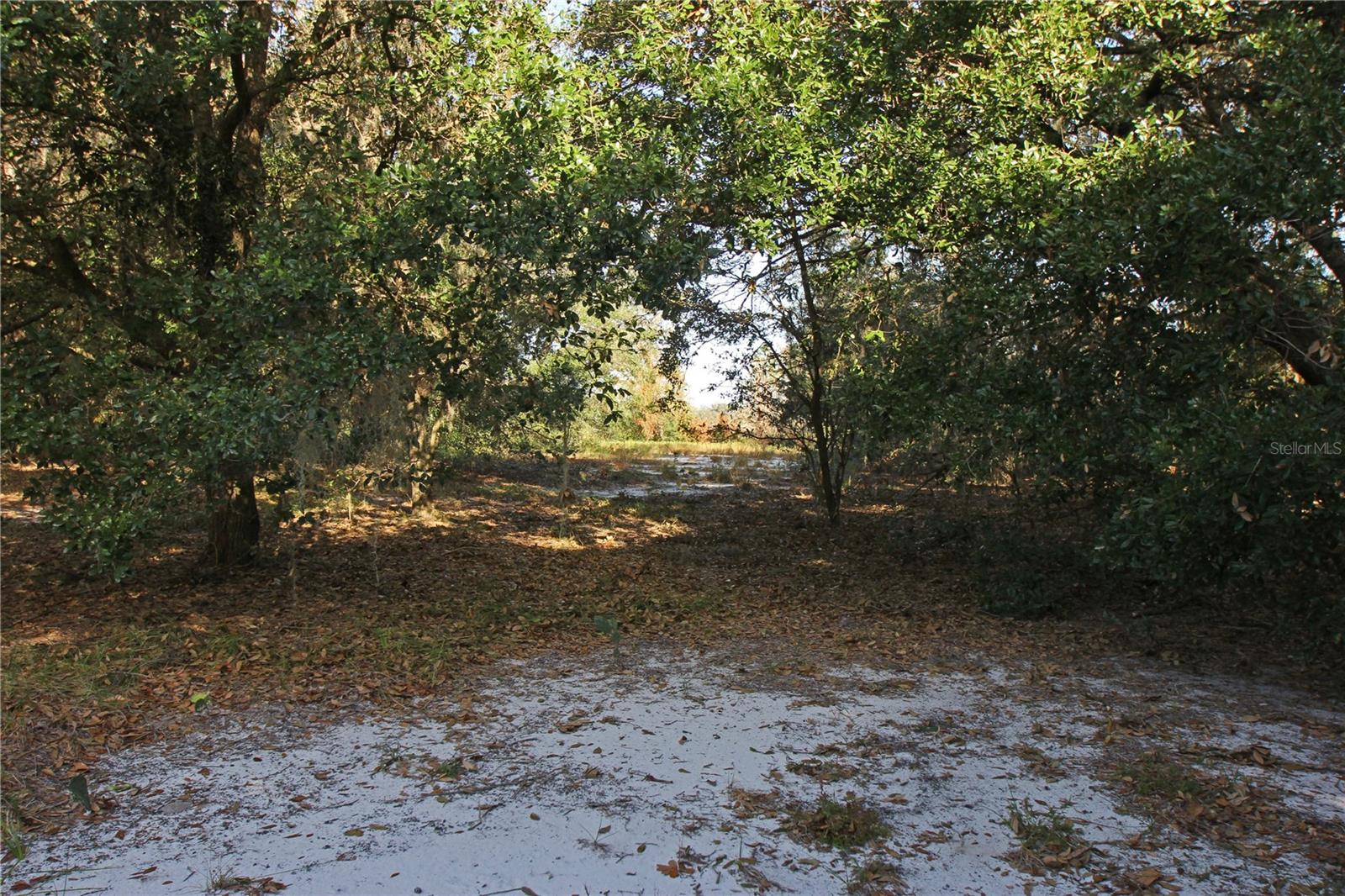 0 Patricia Dr Property Photo 49