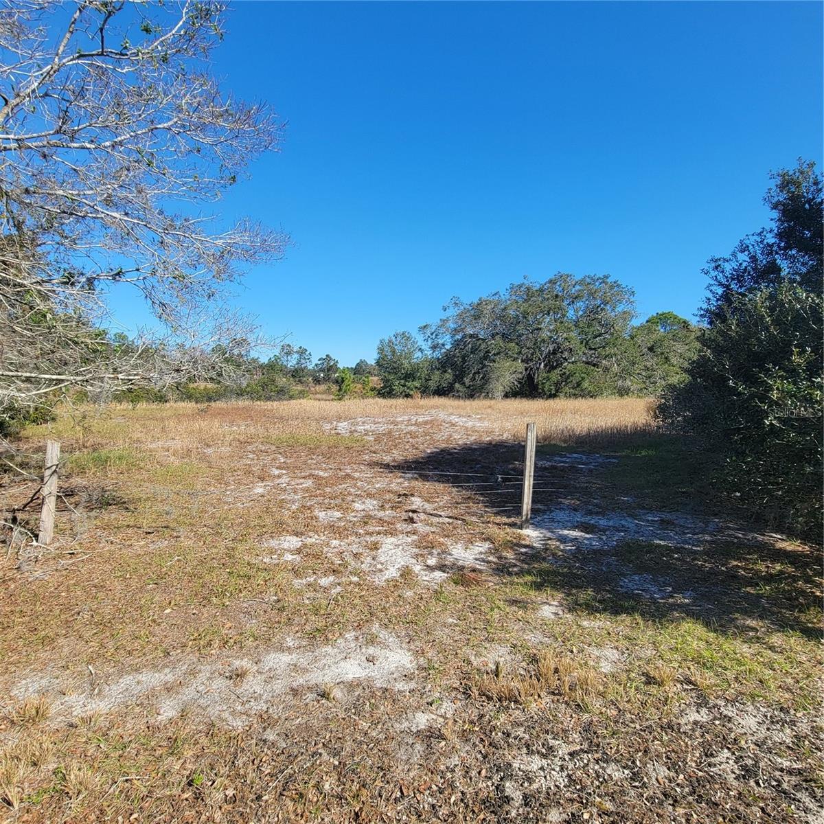 Pfundstein Rd Property Photo 8
