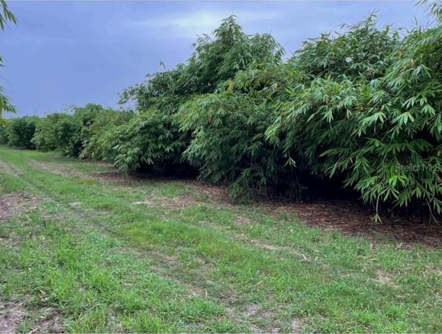 Mineral Branch Rd Property Photo
