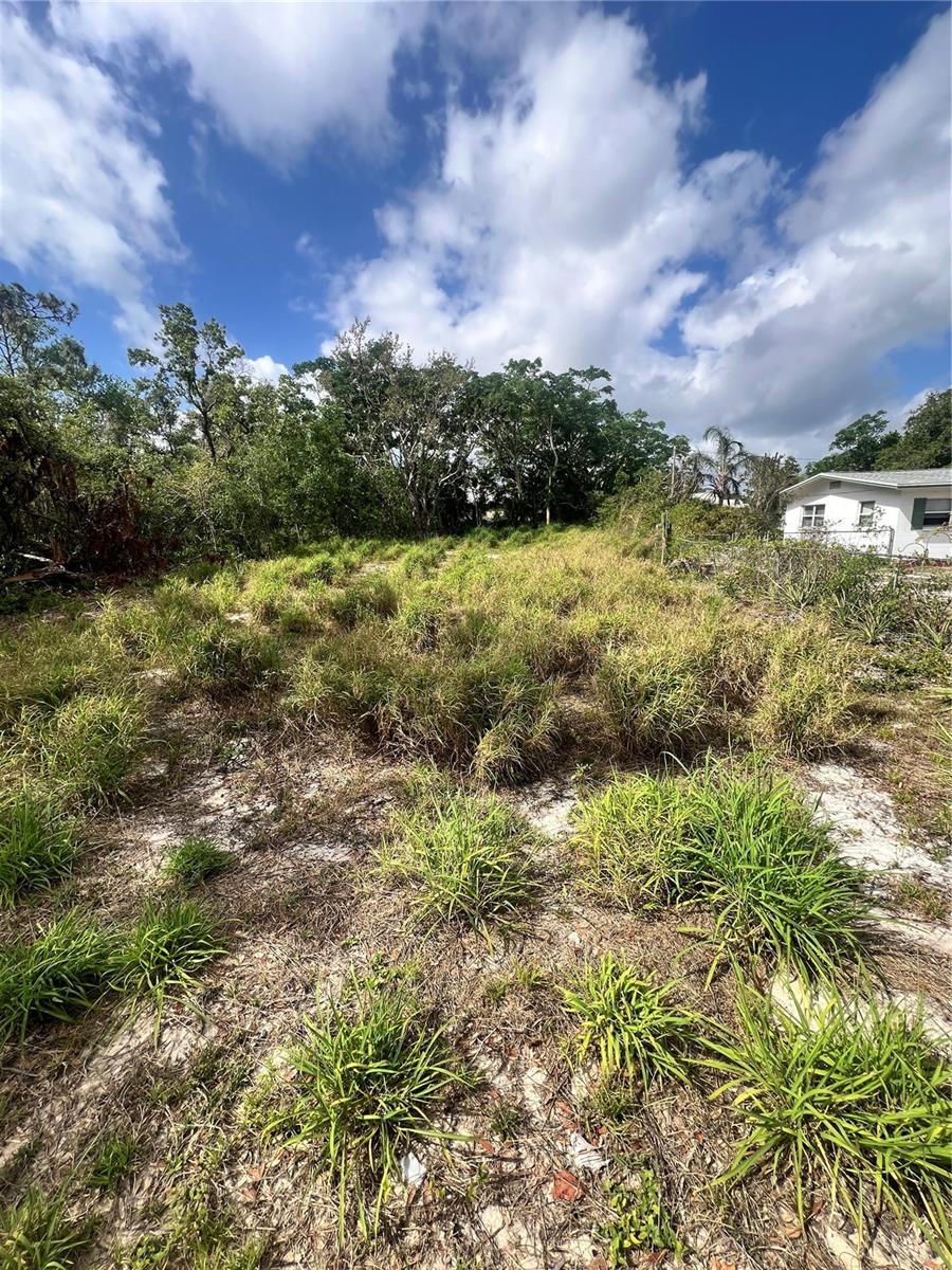 Carson Ave Property Photo