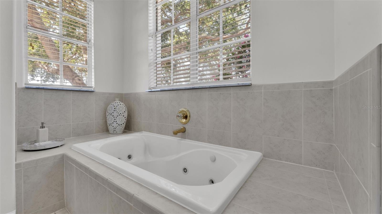 3208 Highlands Lakeview Cir Property Photo 30
