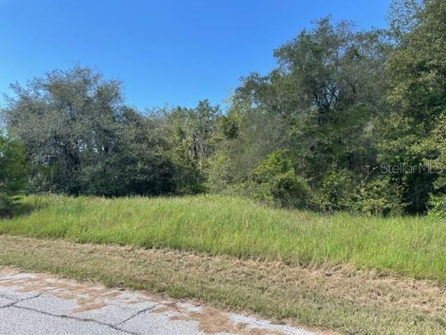 Kissimmee Way Property Photo 1