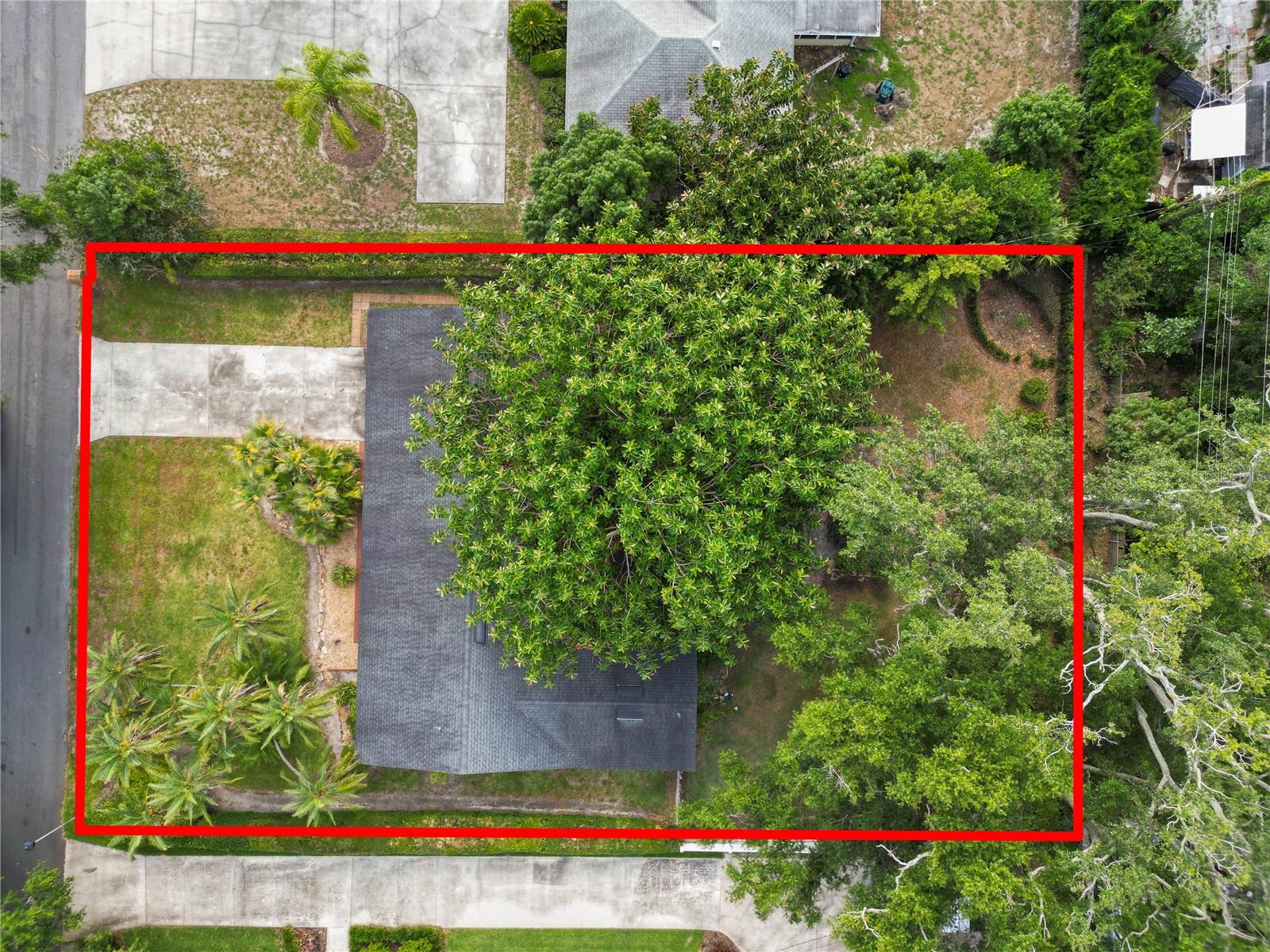 509 Rob Roy St Property Photo 7