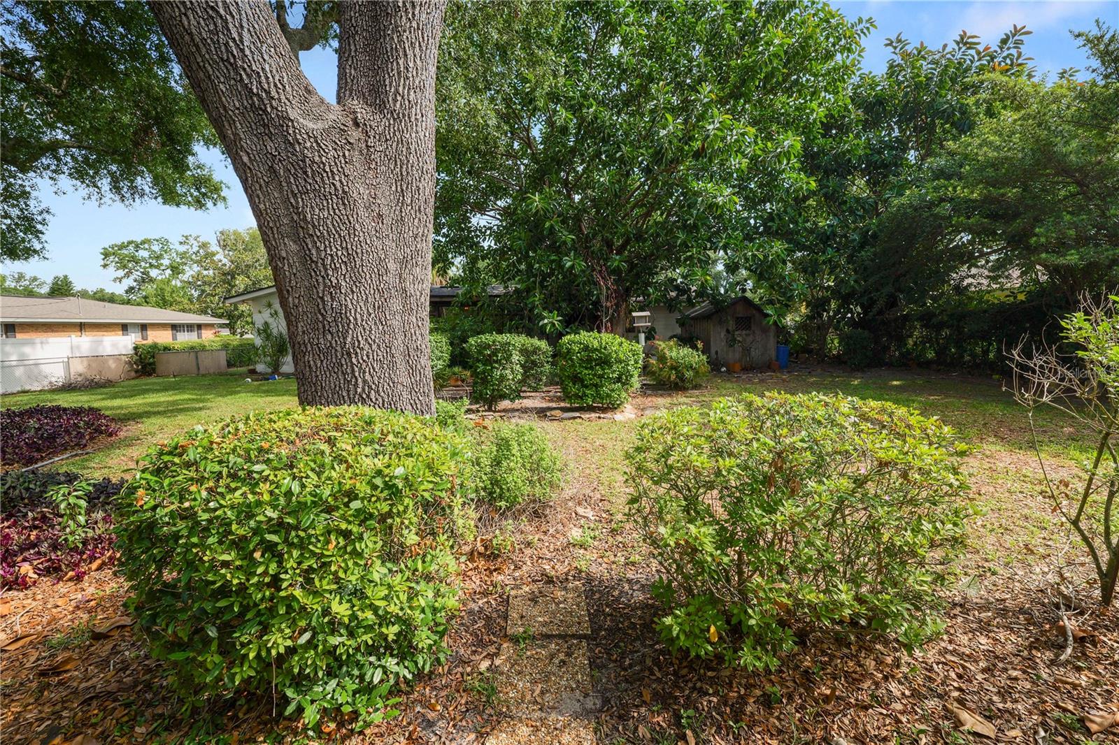 509 Rob Roy St Property Photo 37