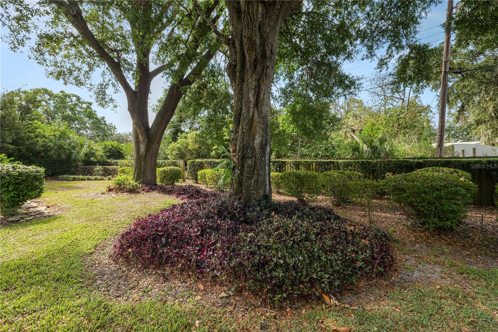 509 Rob Roy St Property Photo 42