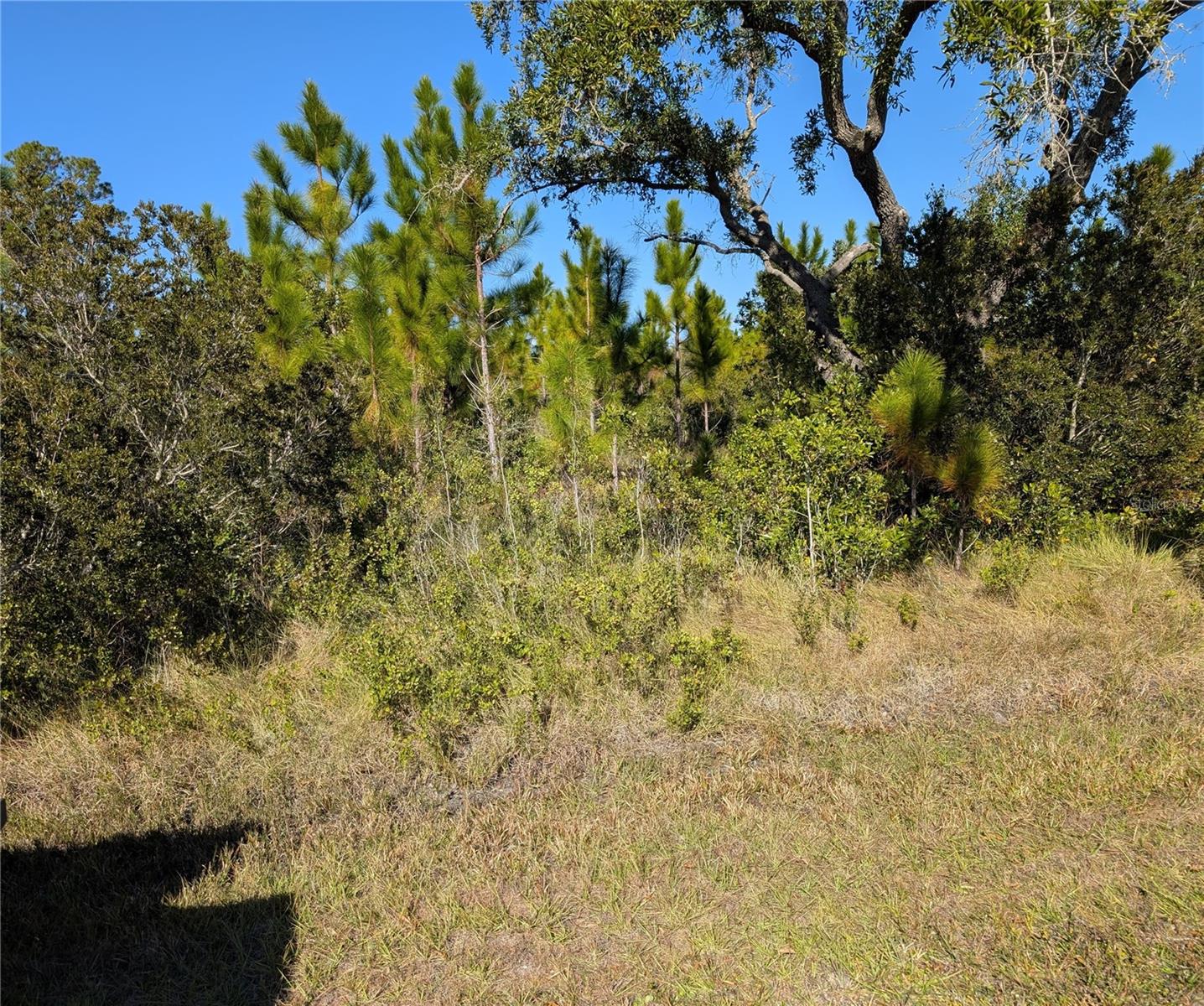 0 TROPICANA DR Property Photo 1