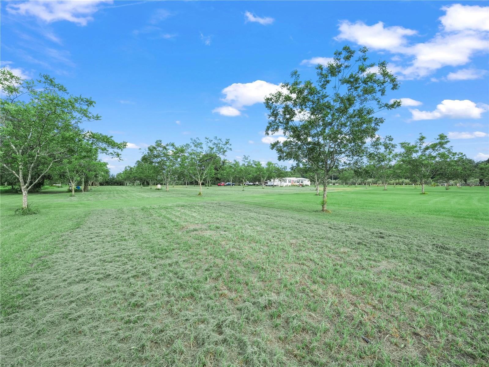 L4955872 Property Photo 8