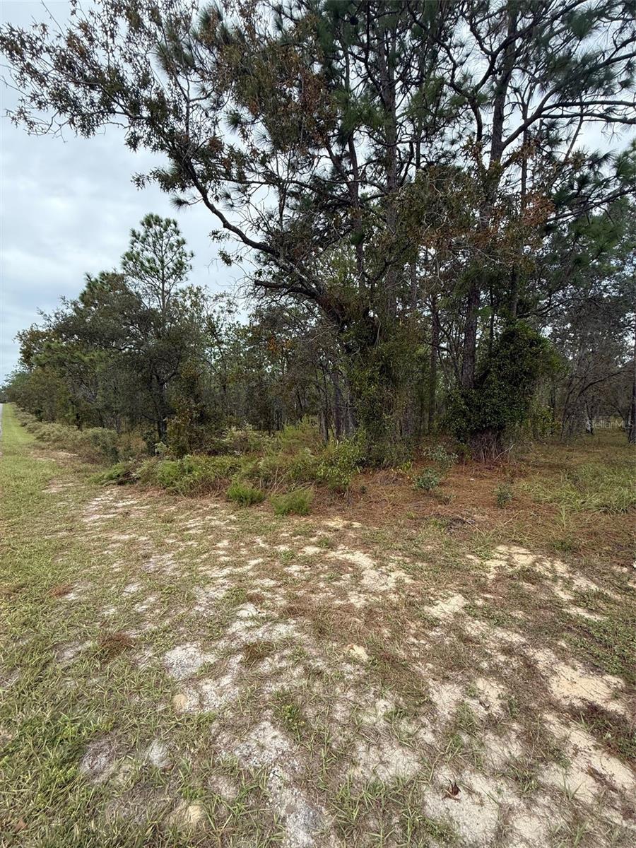 Nw Amberjack Ave Property Photo 3