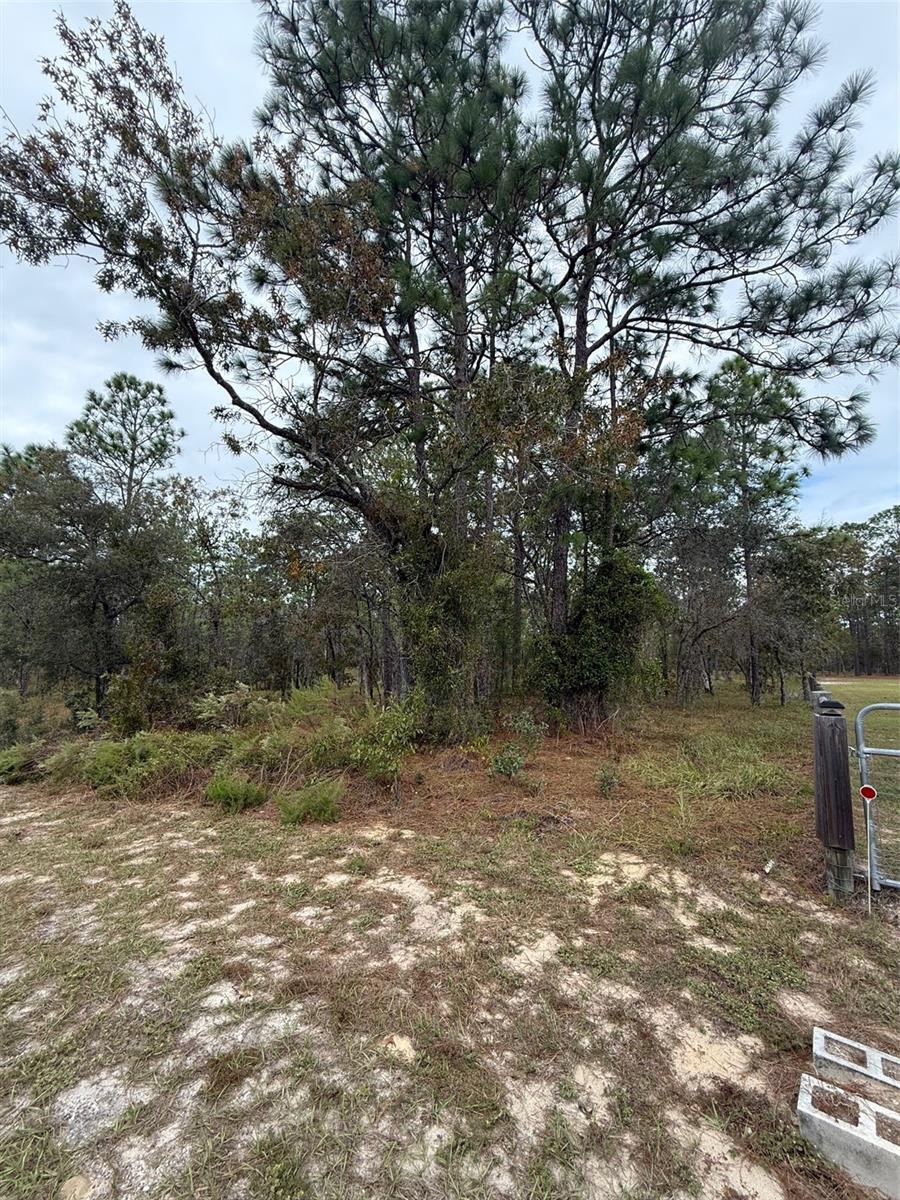 Nw Amberjack Ave Property Photo 4