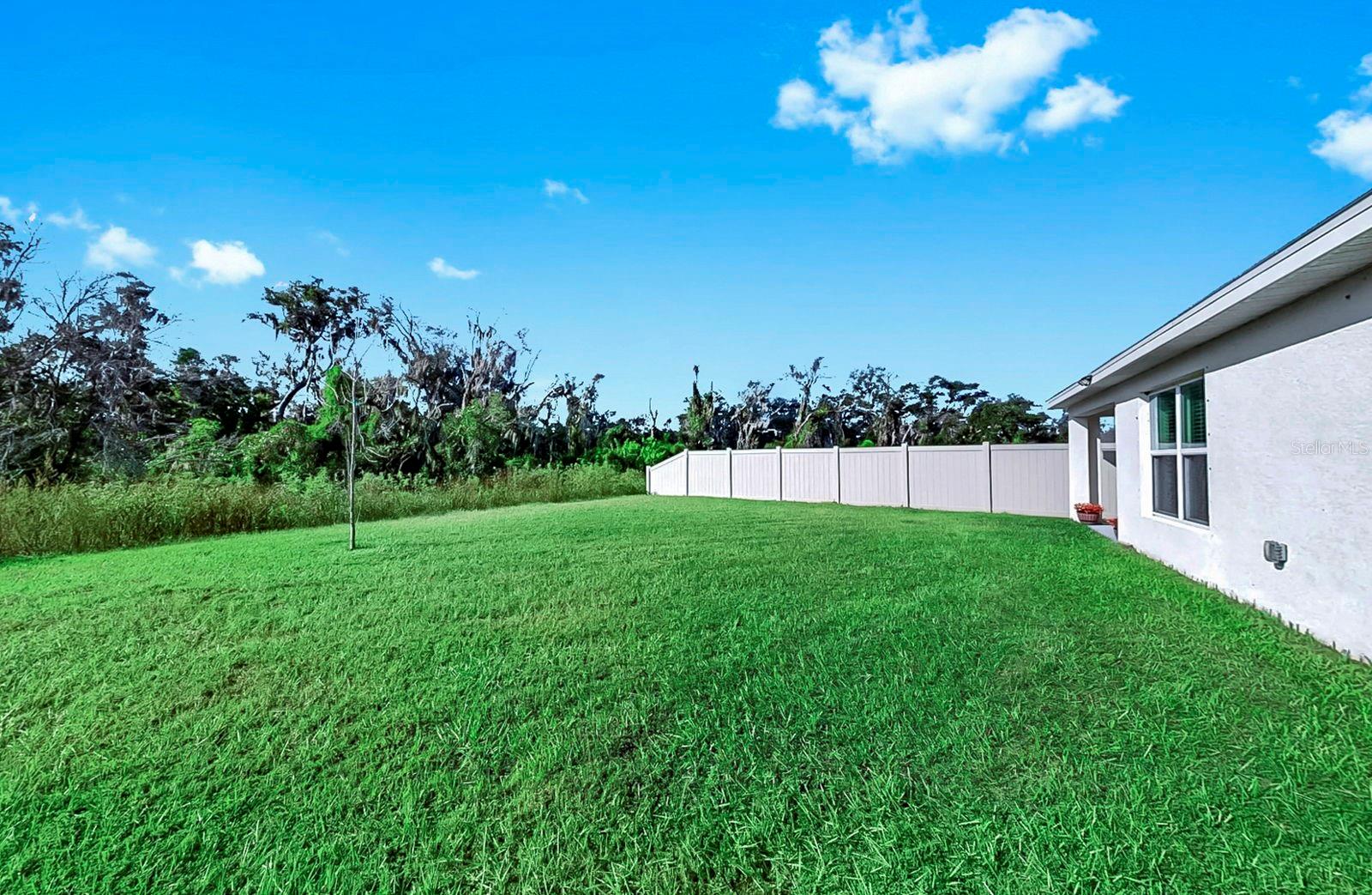 3281 Silver Date Dr Property Photo 39