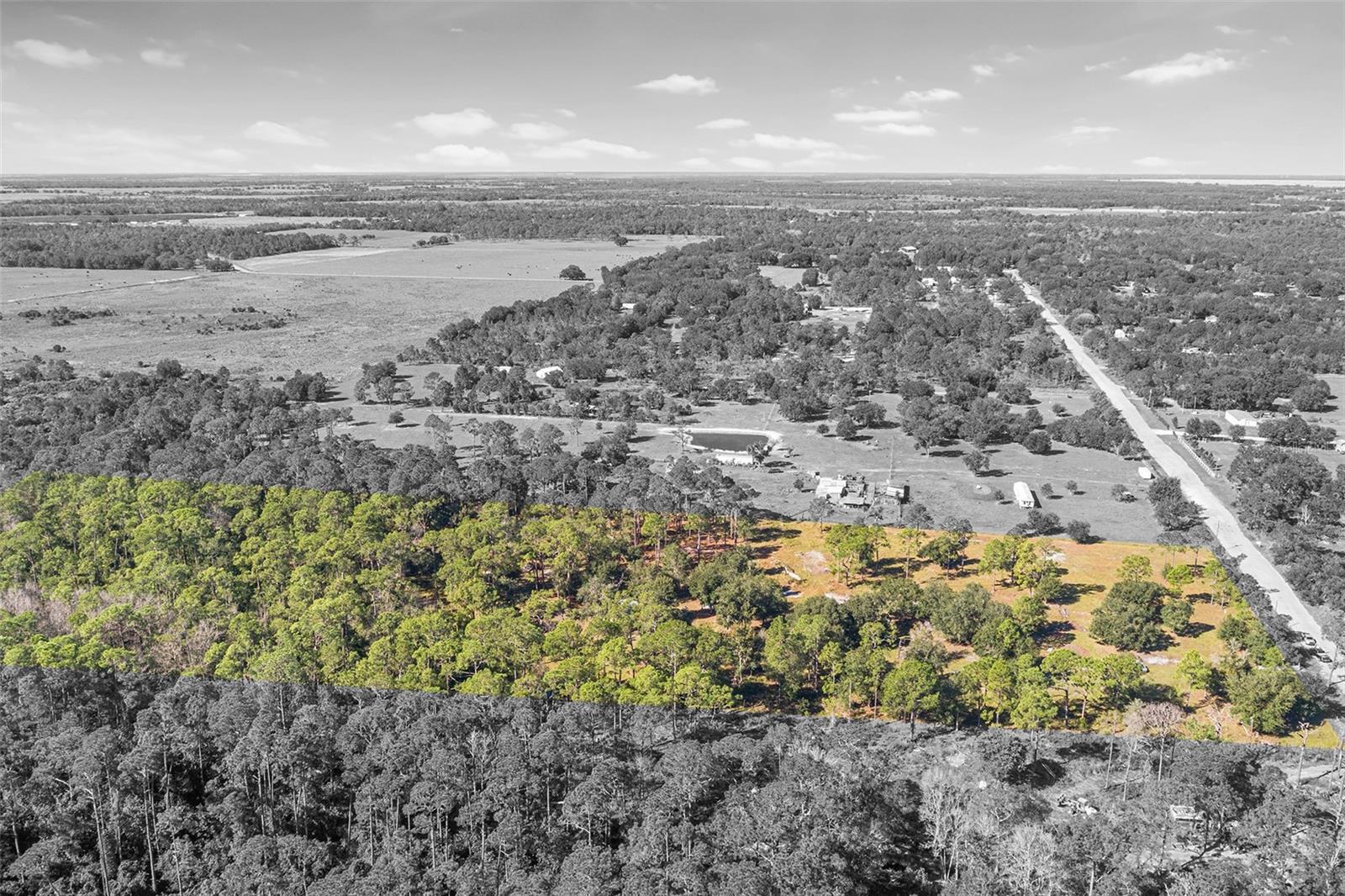 1405 Fazzini Dr Property Photo 4