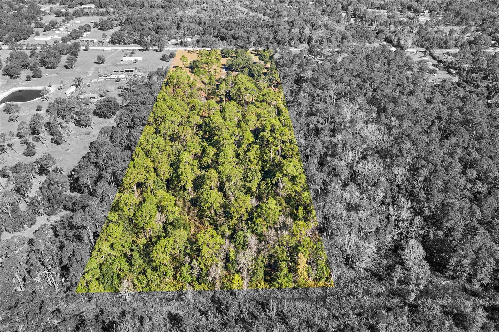 1405 Fazzini Dr Property Photo 11
