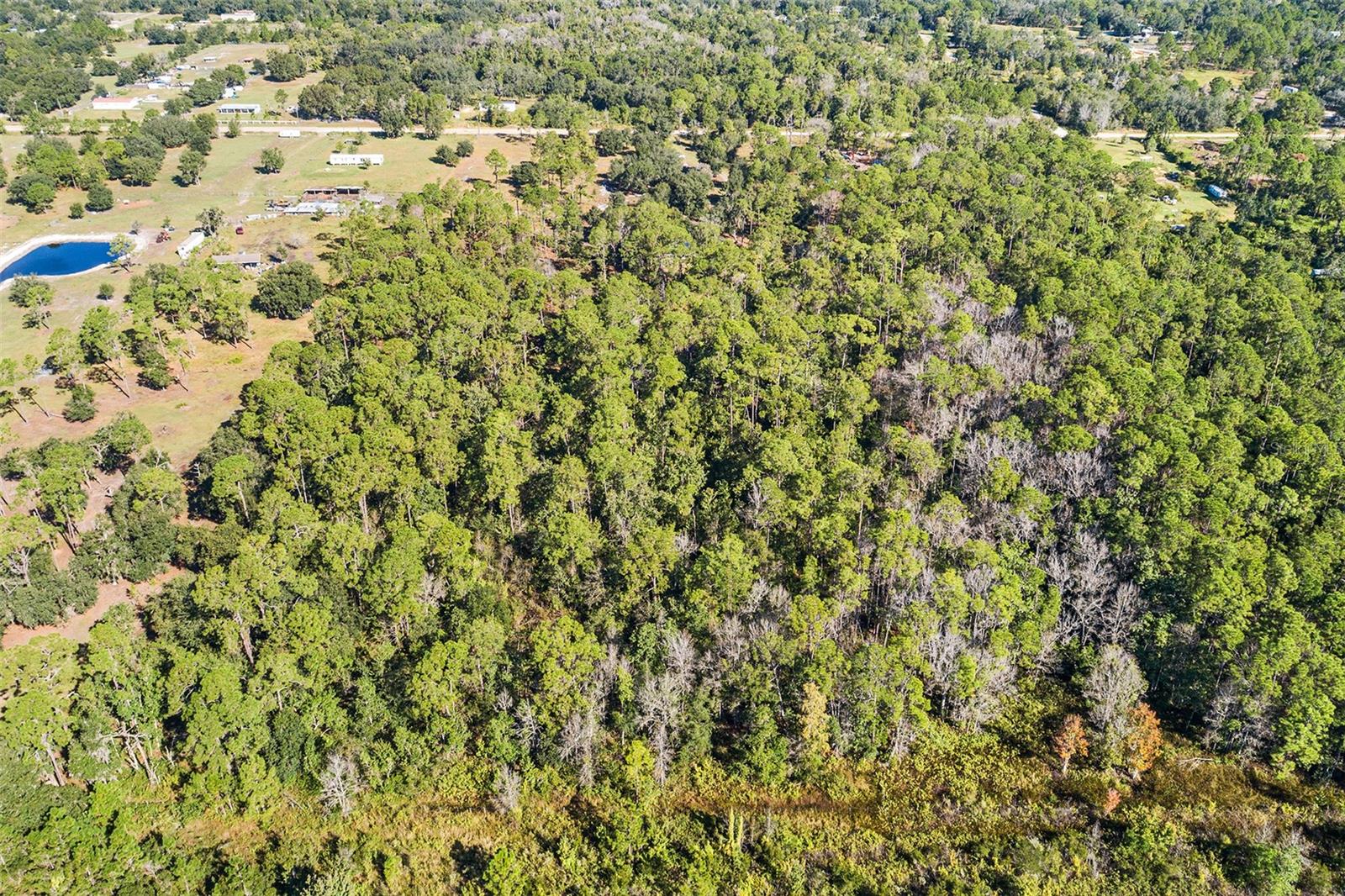 1405 Fazzini Dr Property Photo 12