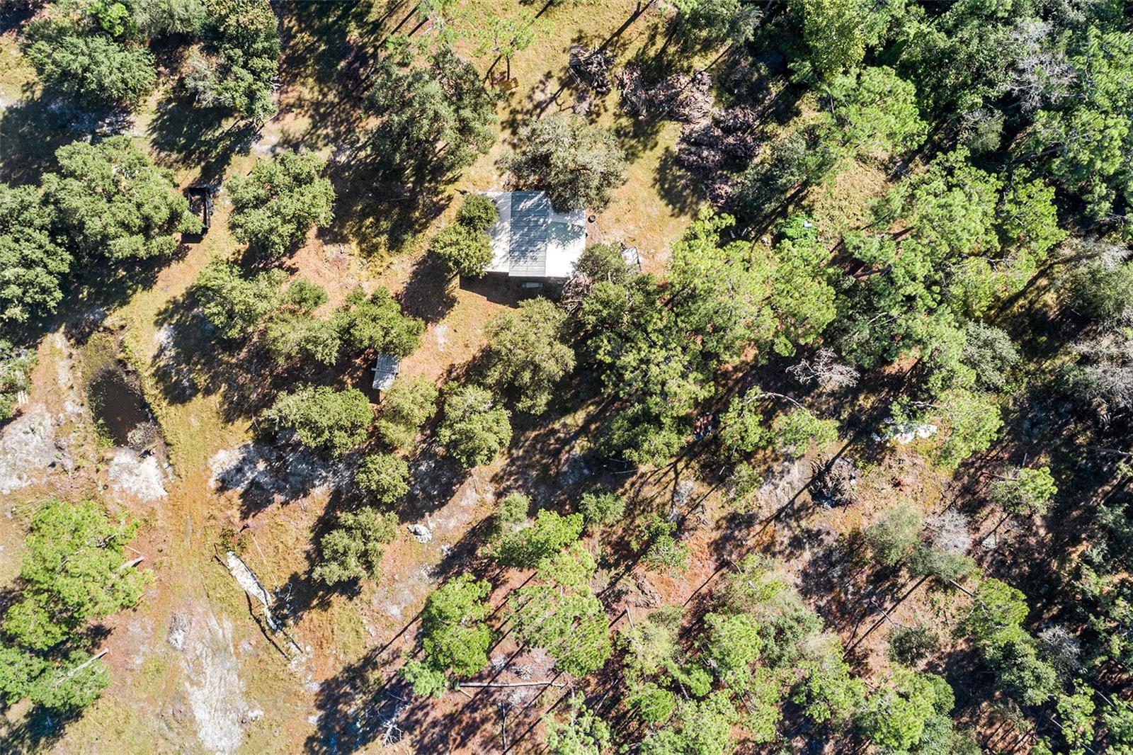 1405 Fazzini Dr Property Photo 13