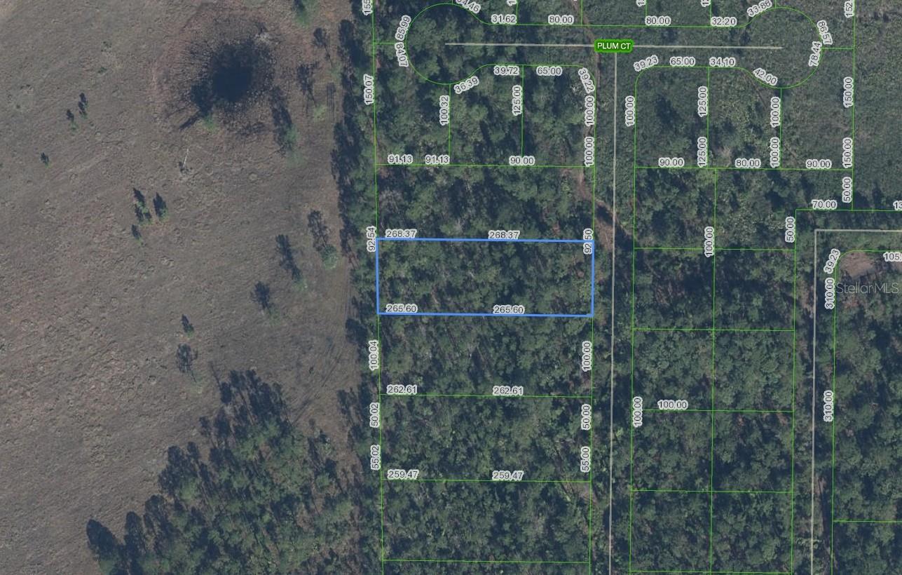 4705 Rhubarb St Property Photo 1
