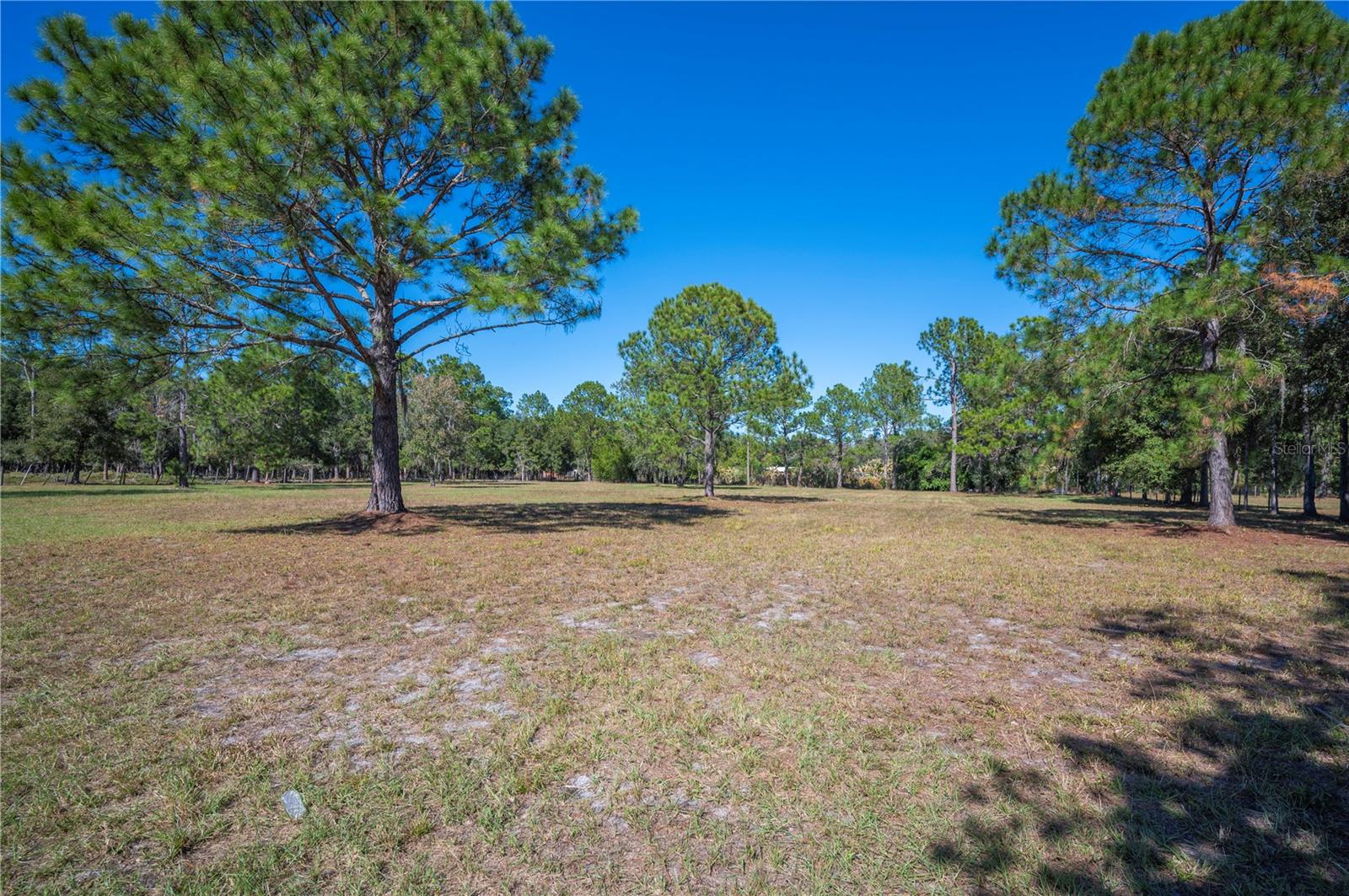 2525 Ranchland Acres Rd Property Photo 6