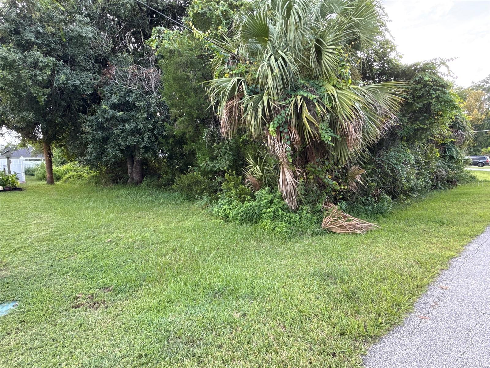 38 Pineapple Dr Property Photo 3
