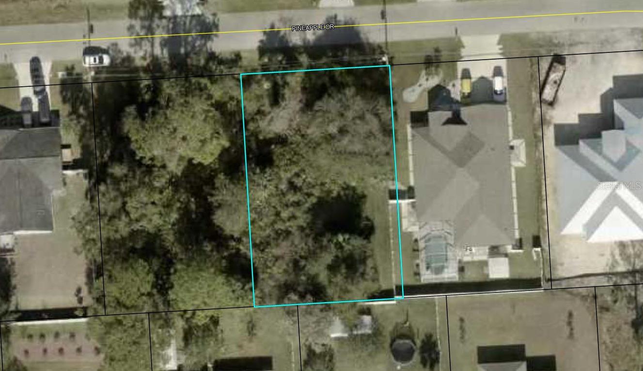 38 Pineapple Dr Property Photo 4
